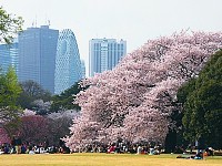 https://www.japan-guide.com/g7/3050_gyoen.jpg